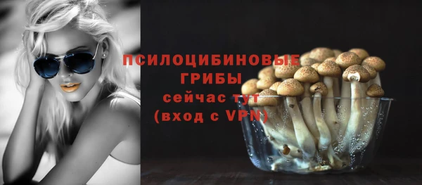 Альфа ПВП Медногорск