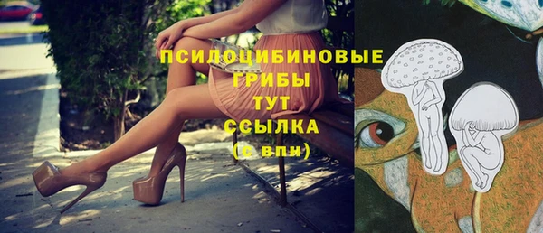 Альфа ПВП Медногорск