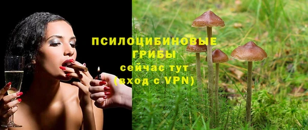 твердый Медвежьегорск