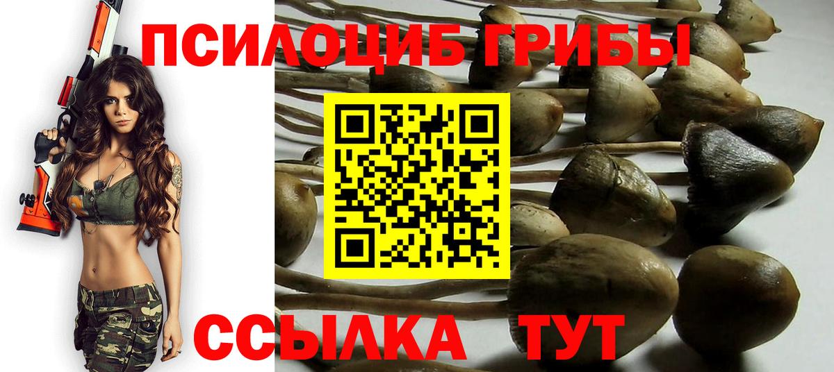 Псилоцибиновые грибы мицелий Спасск-Дальний