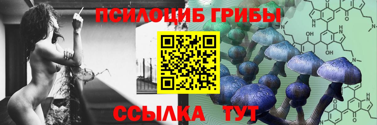 Псилоцибиновые грибы мухоморы  наркота  Спасск-Дальний 